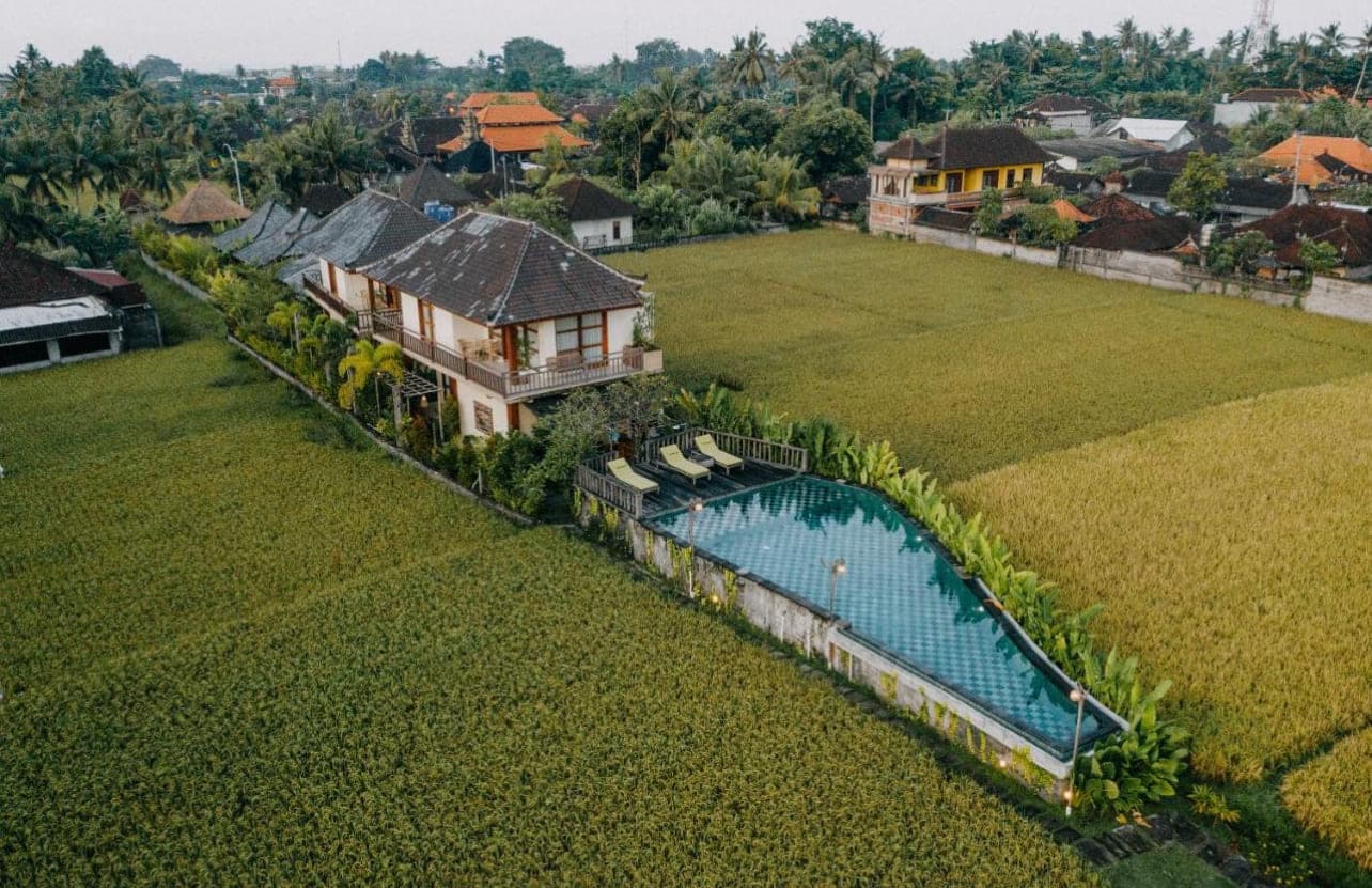 Business 44 in Ubud Lodtunduh 1