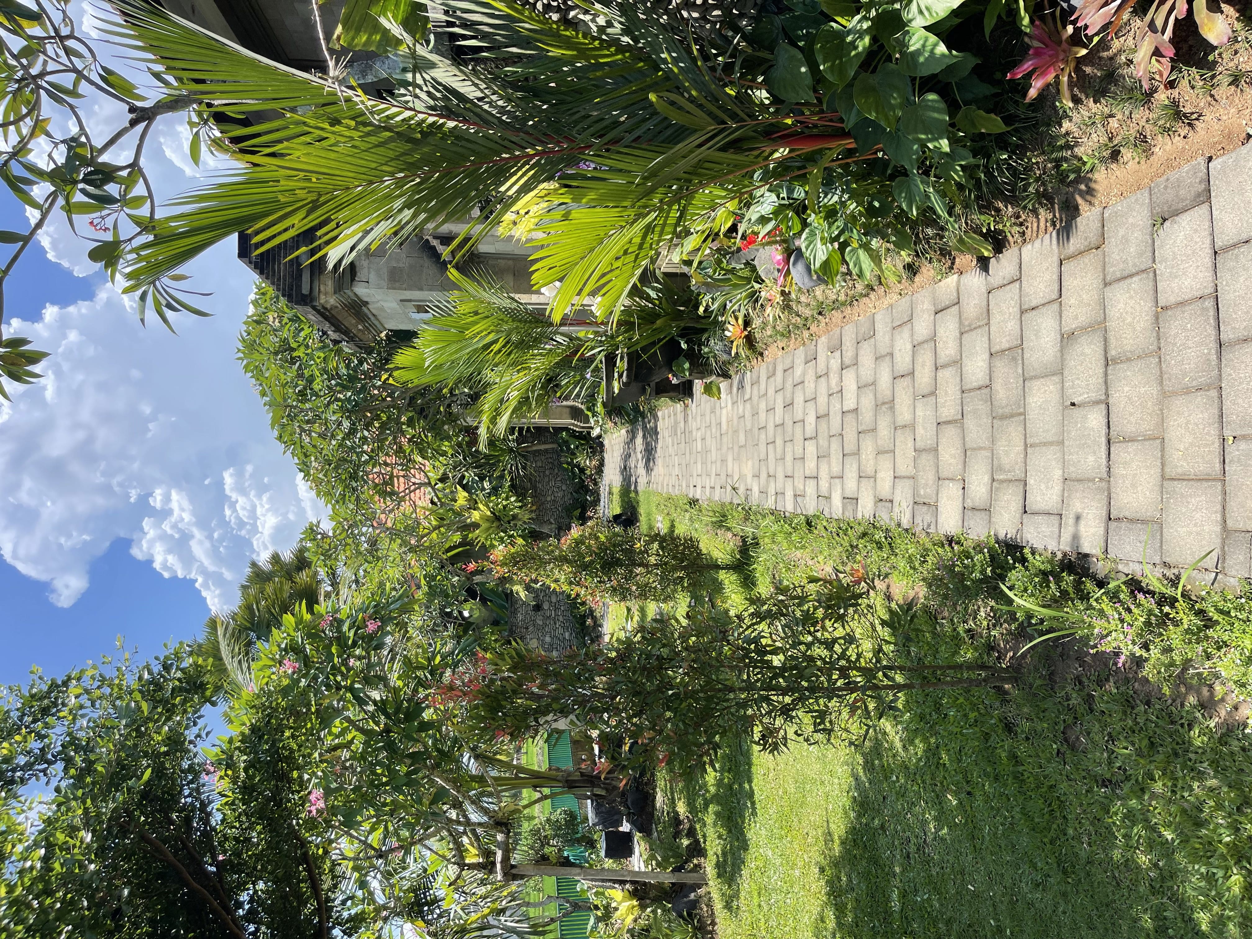 Pathway between villas and greenery in Lodtunduh, Ubud