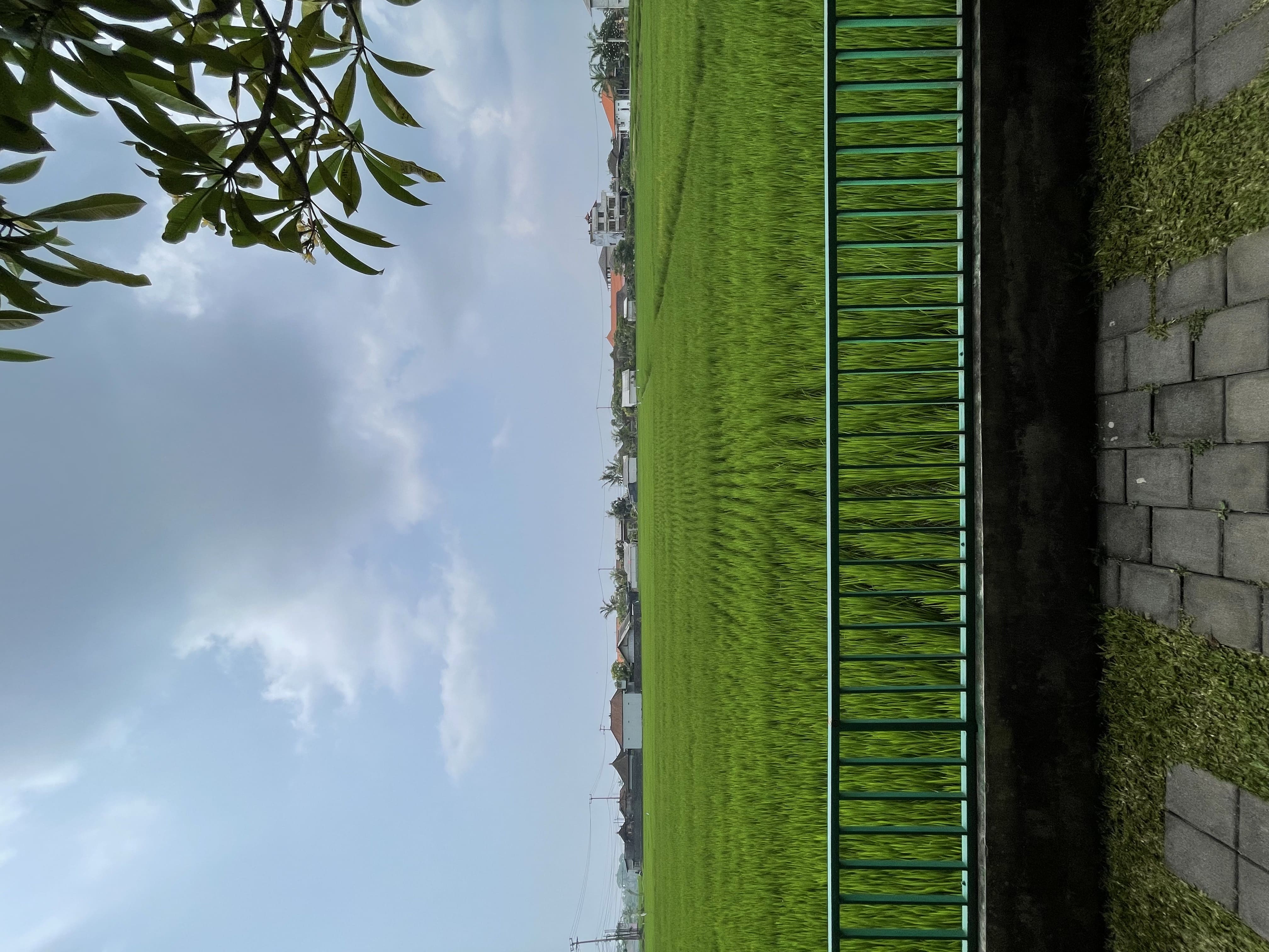 Rice field view from Lodtunduh, Ubud