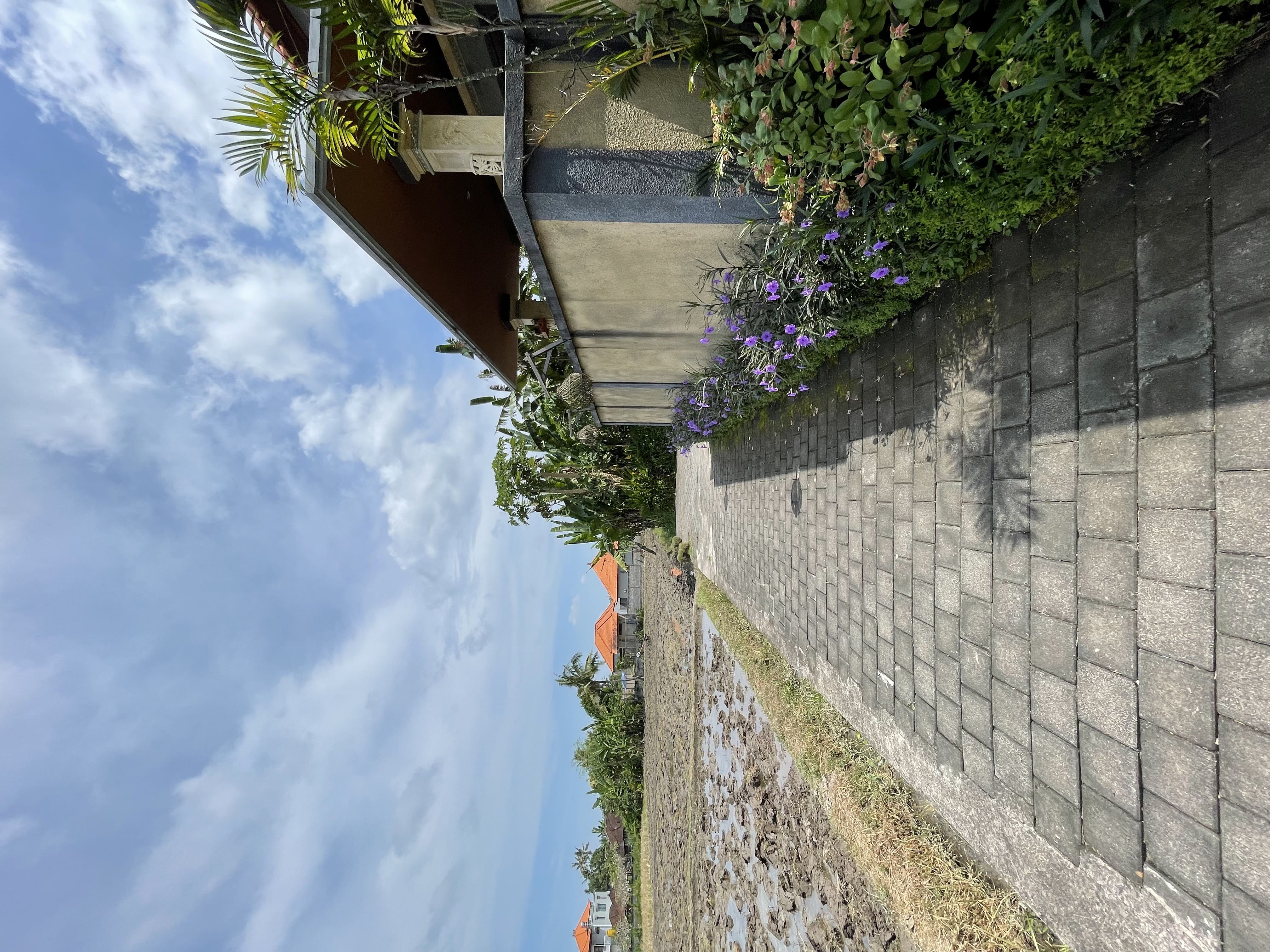 Road leading to a villa in Lodtunduh, Ubud