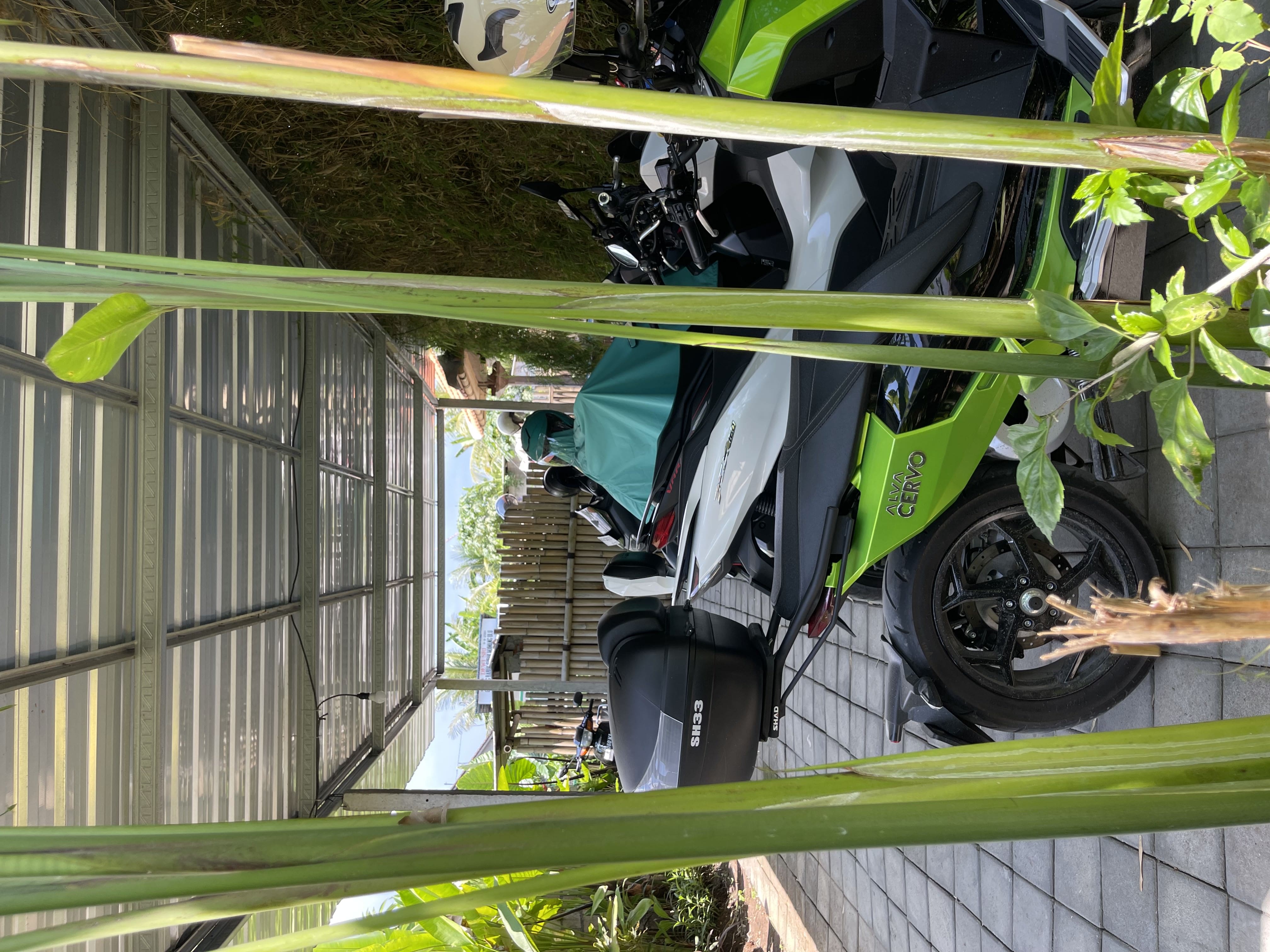Scooters parked near shops on Jl A.A. Gede Rai, Lodtunduh