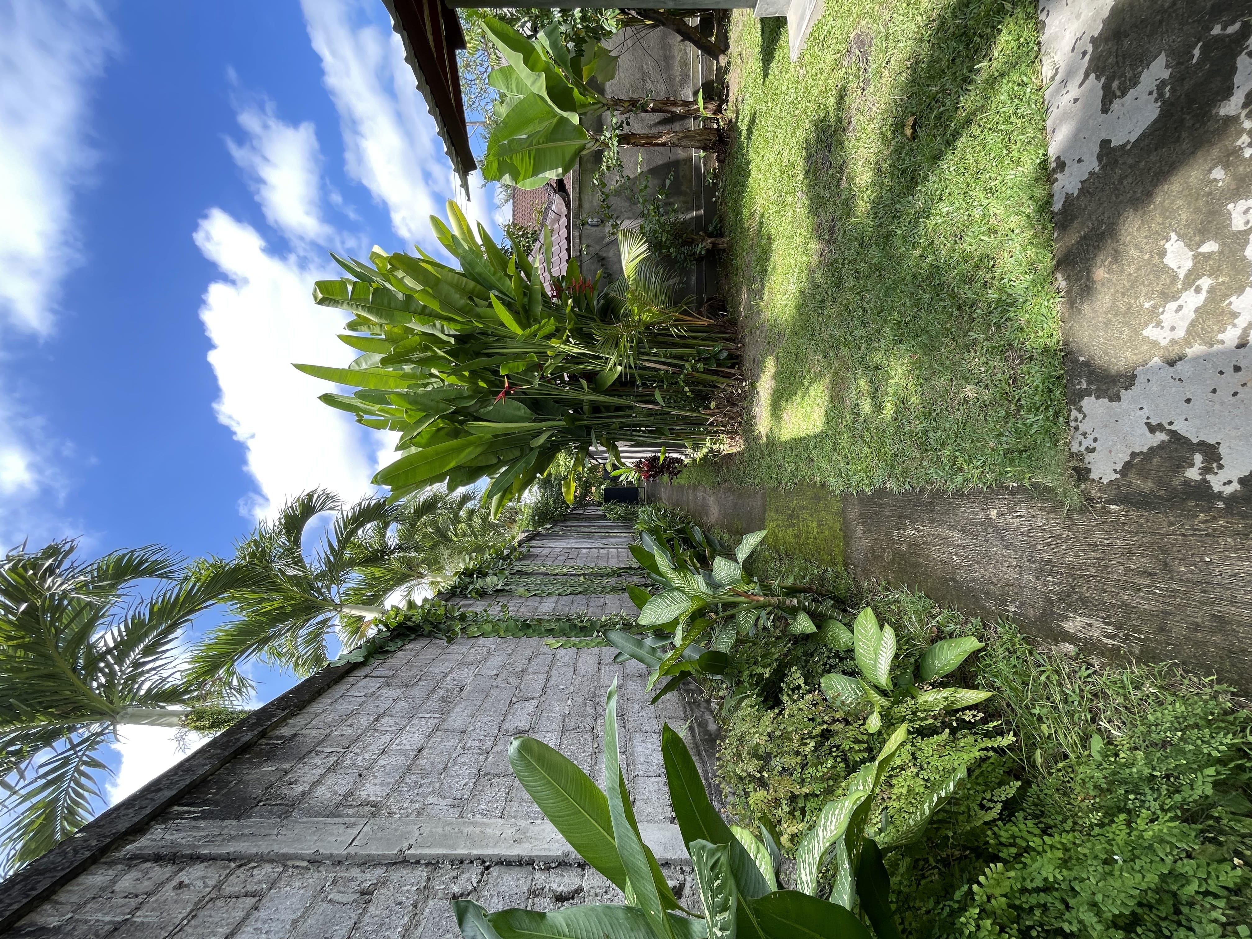 Walkable path near villas in Lodtunduh, Ubud