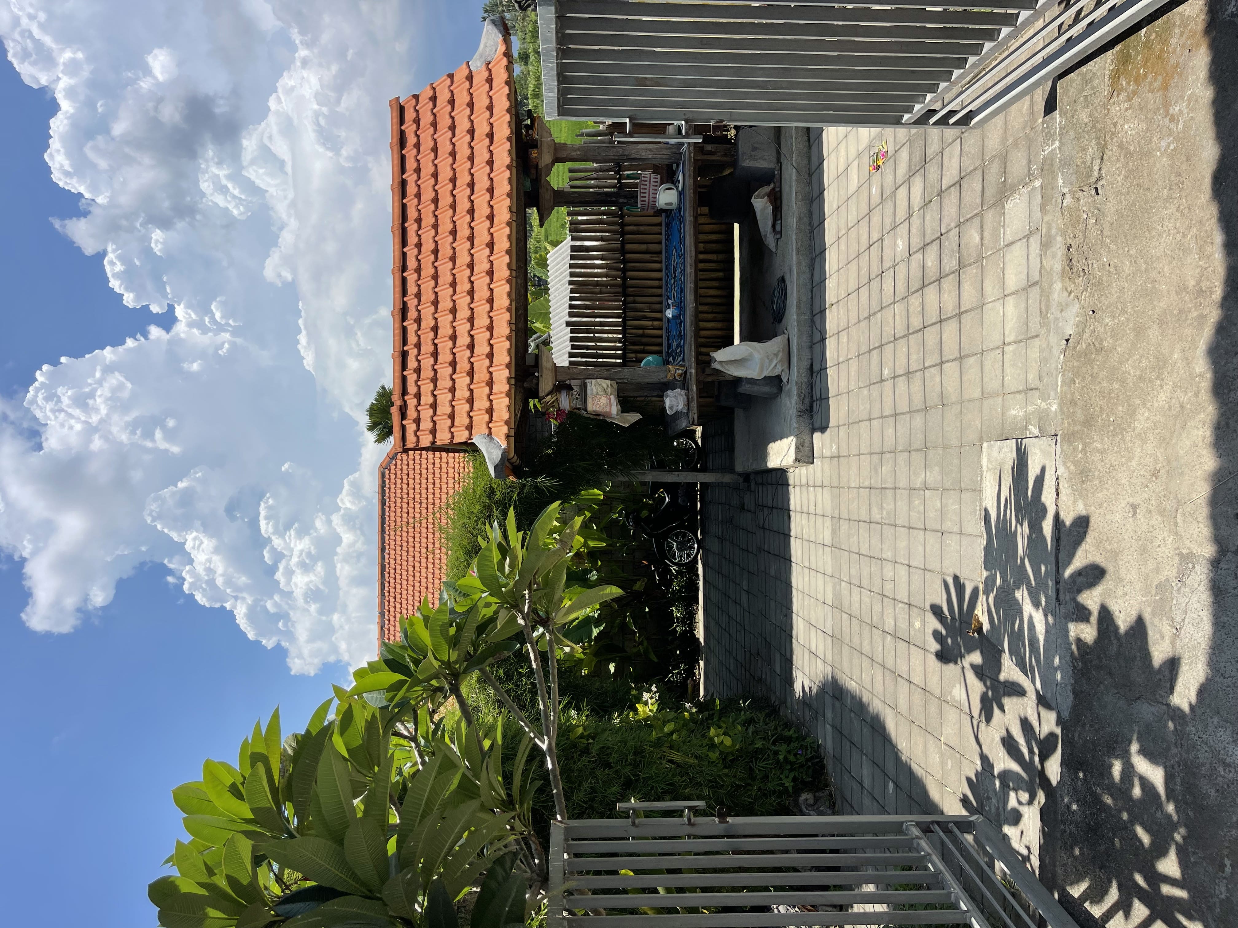 Garden and yard at a Lodtunduh villa, Ubud