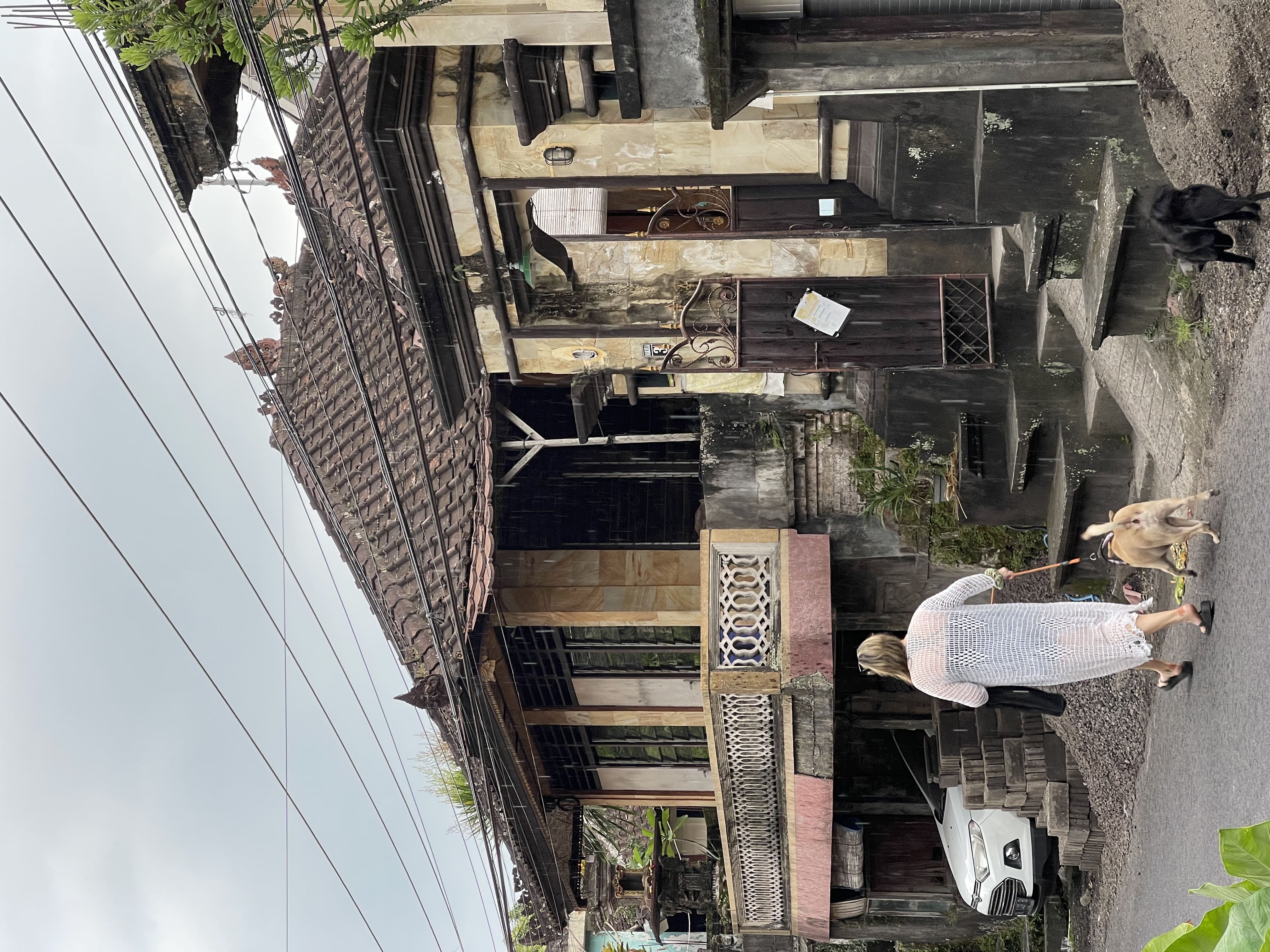 Woman walking a dog on a Penestanan lane, Ubud